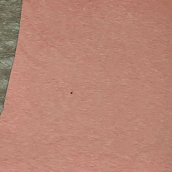 NWT Wiholl womens‎ soft orange short baloon sleeve square neck tshirt - Picture 8 of 8